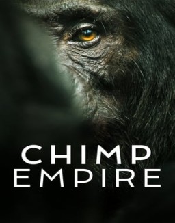 El Imperio De Los Chimpancaes Temporada 1 Capitulo 4