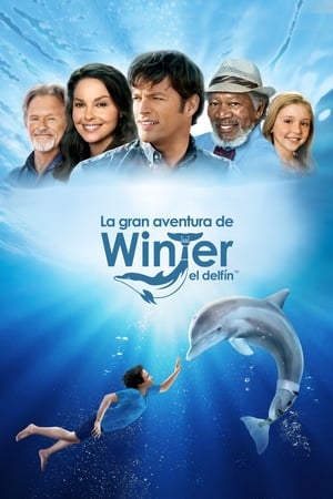 Winter El Delfin