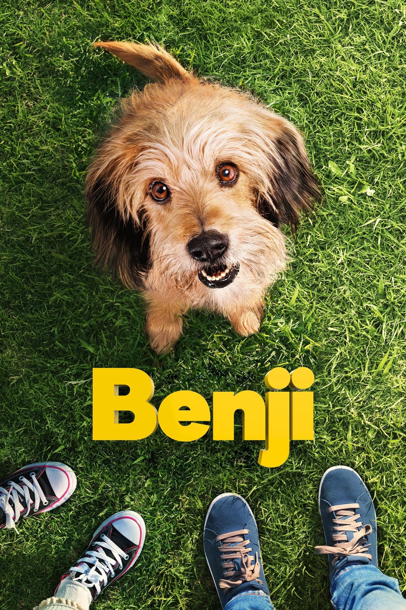 Benji 495193