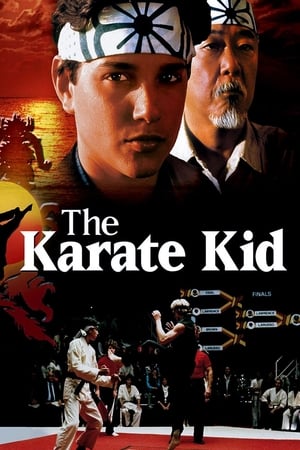 Karate Kid El Momento De La Verdad