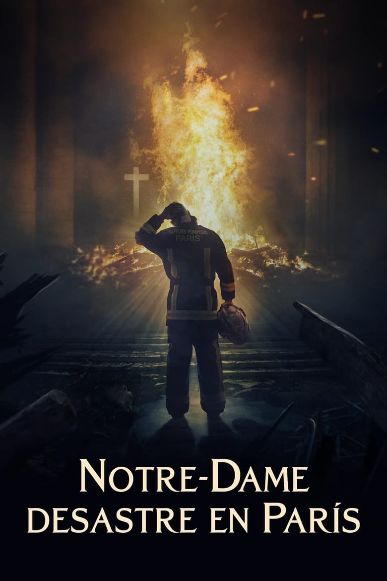Notre Dame Desastre En Paris