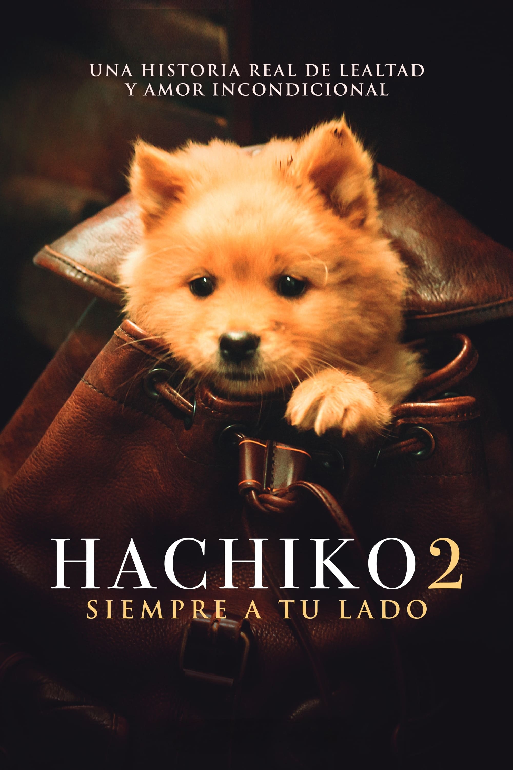 Hachiko 2 Siempre A Tu Lado