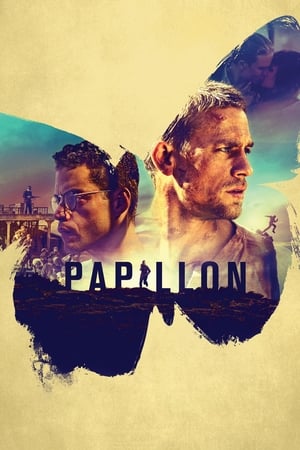 Papillon2017