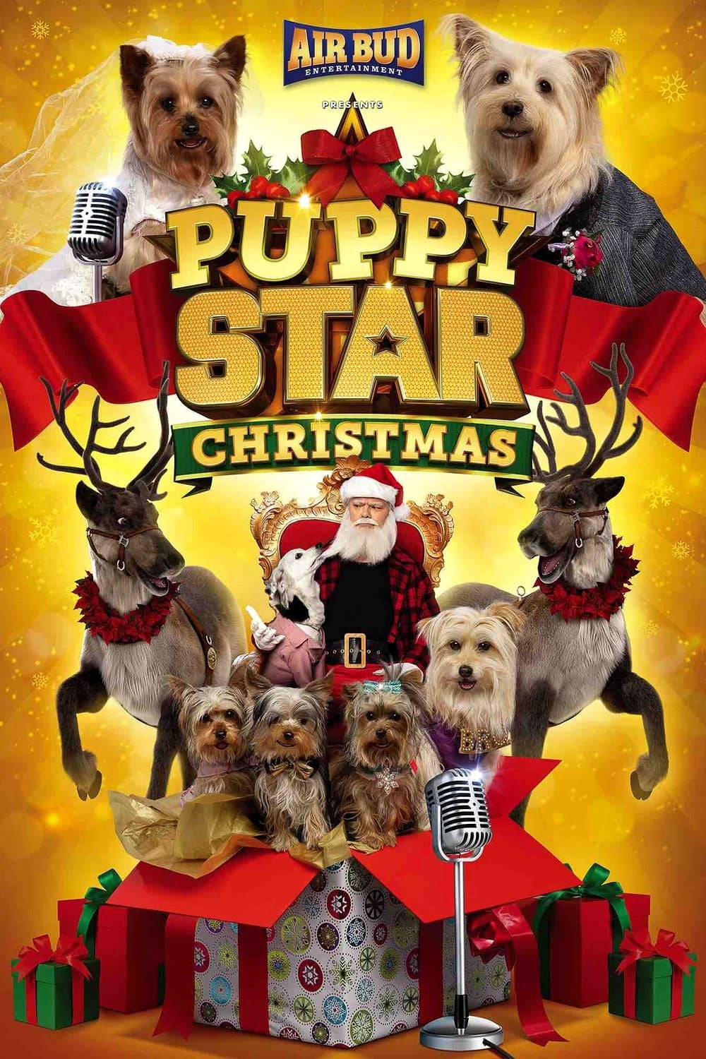 Pup Star Navidad