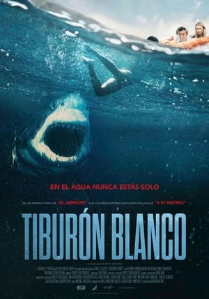 Tiburon Blanco 2021