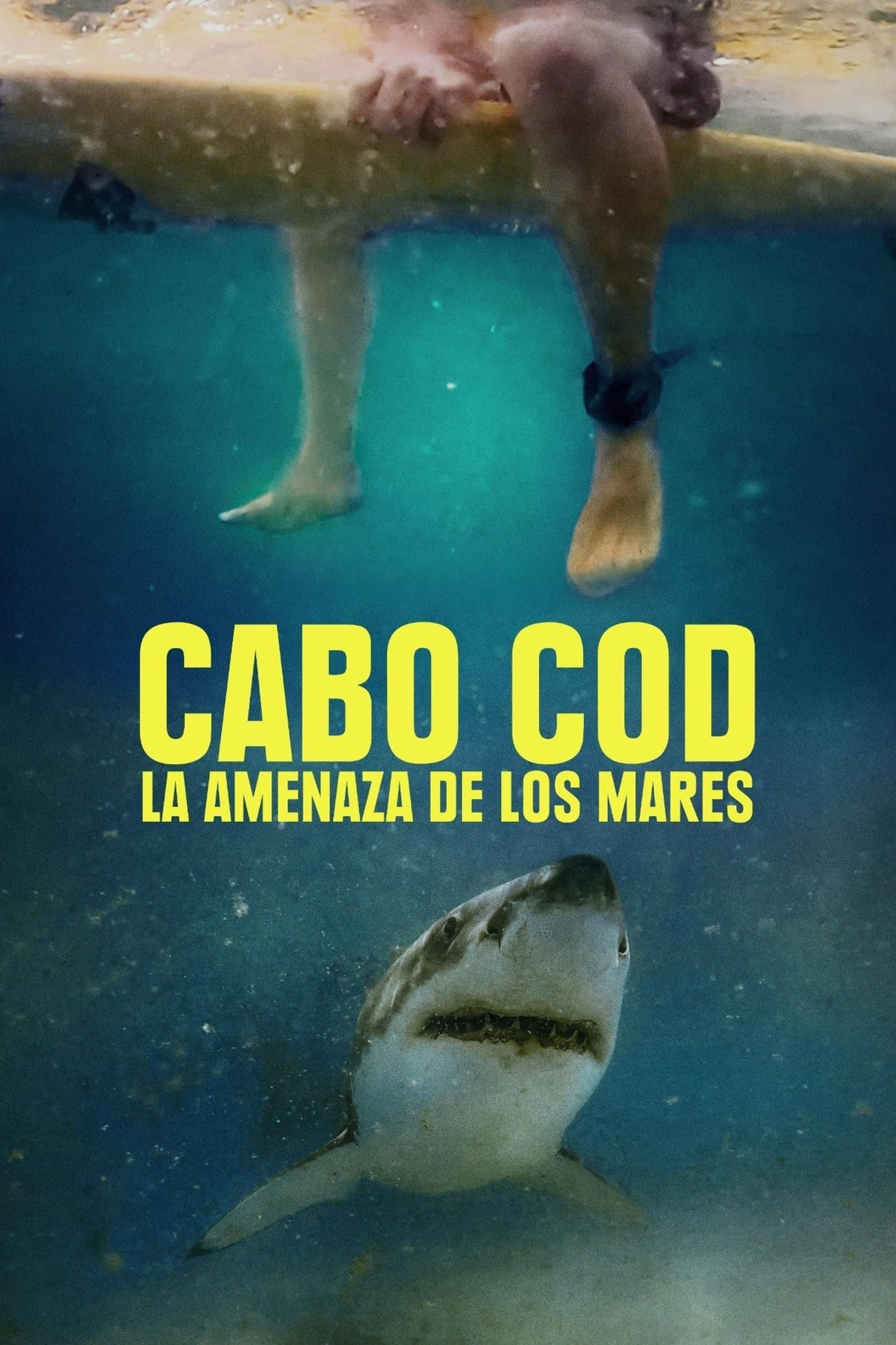 Cabo Cod La Amenaza De Los Mares
