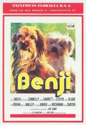 Benji1974