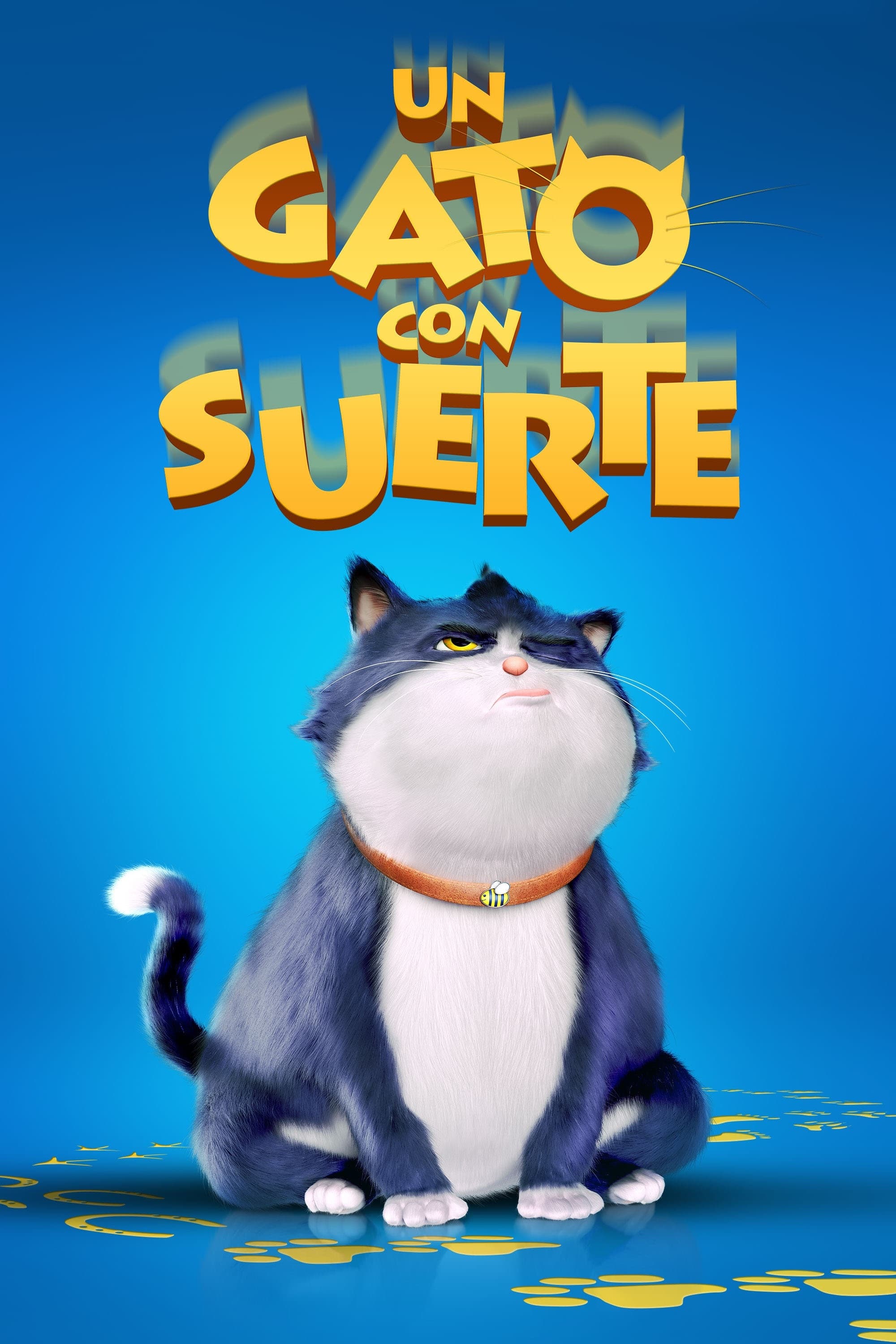 Un Gato Con Suerte