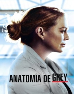 Anatomaia De Grey Temporada 17